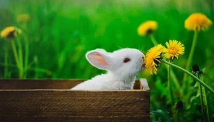 天津泰达客场不敌对手，连续三场失利