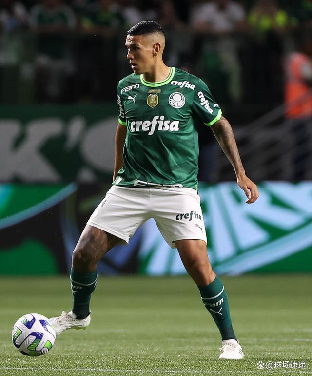 关于帕尔梅拉斯球迷现场助威，激发球队夺冠斗志的信息