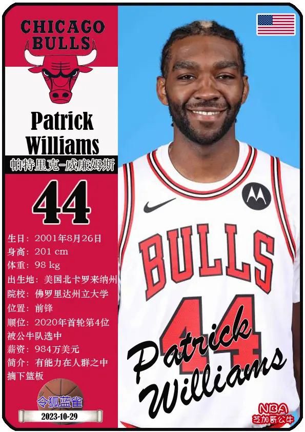 包含公牛队新外援表现抢眼，球队前景广阔的词条