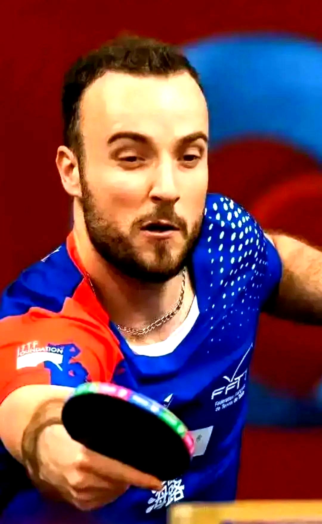 包含萨尔茨堡惜败，遗憾止步十六强的词条