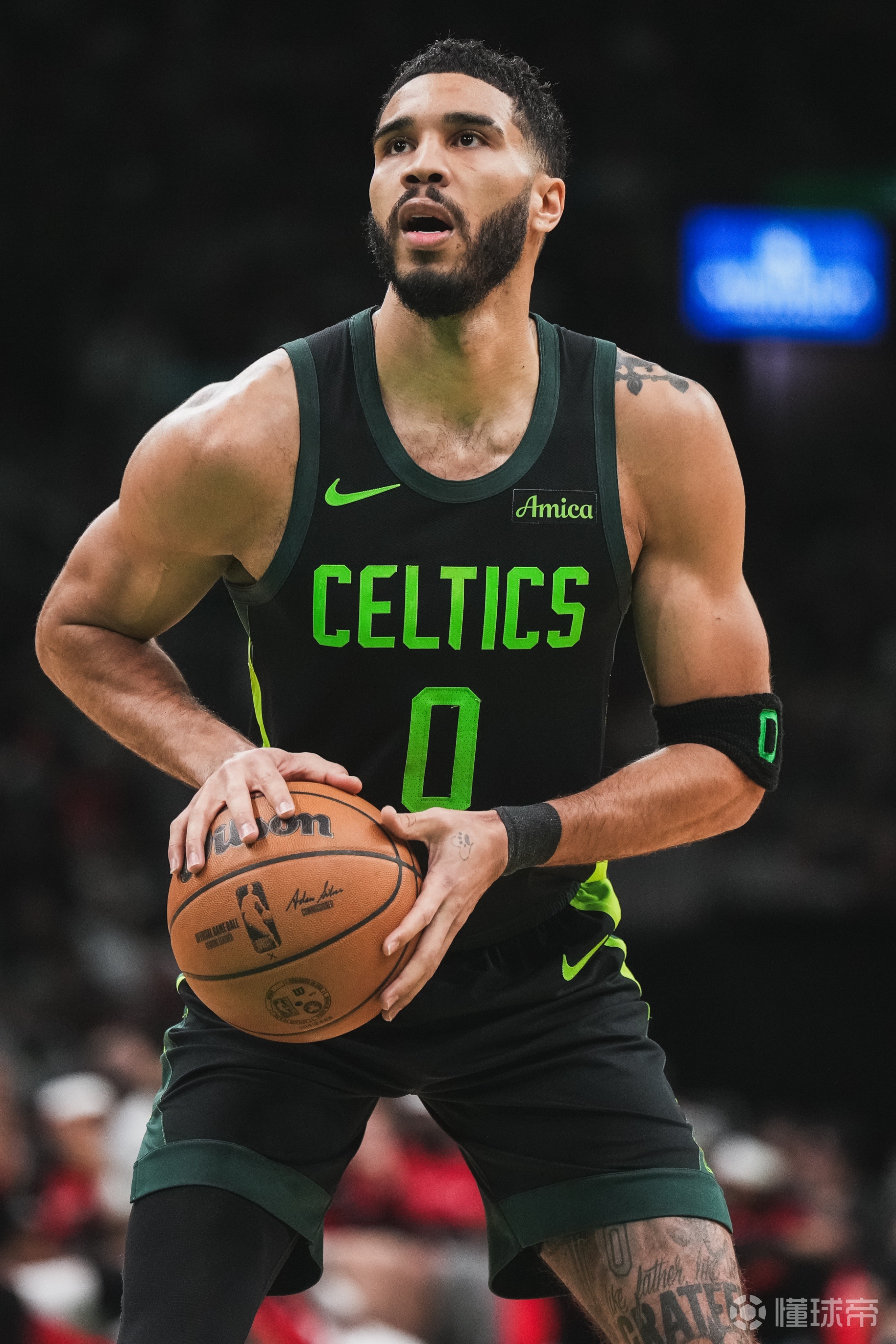 灰熊客场力克猛龙，收获关键胜利